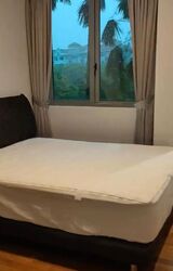 Springdale Condominium (D21), Condominium #462727851